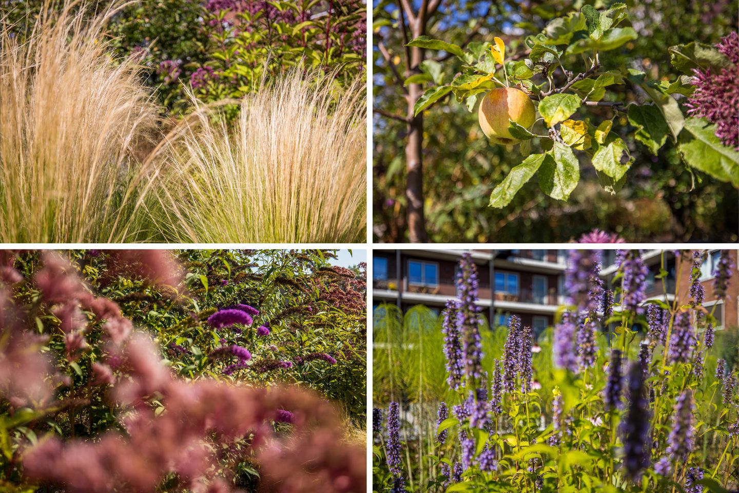 Foto 29 van Eerste Muntmeesterslaan 89