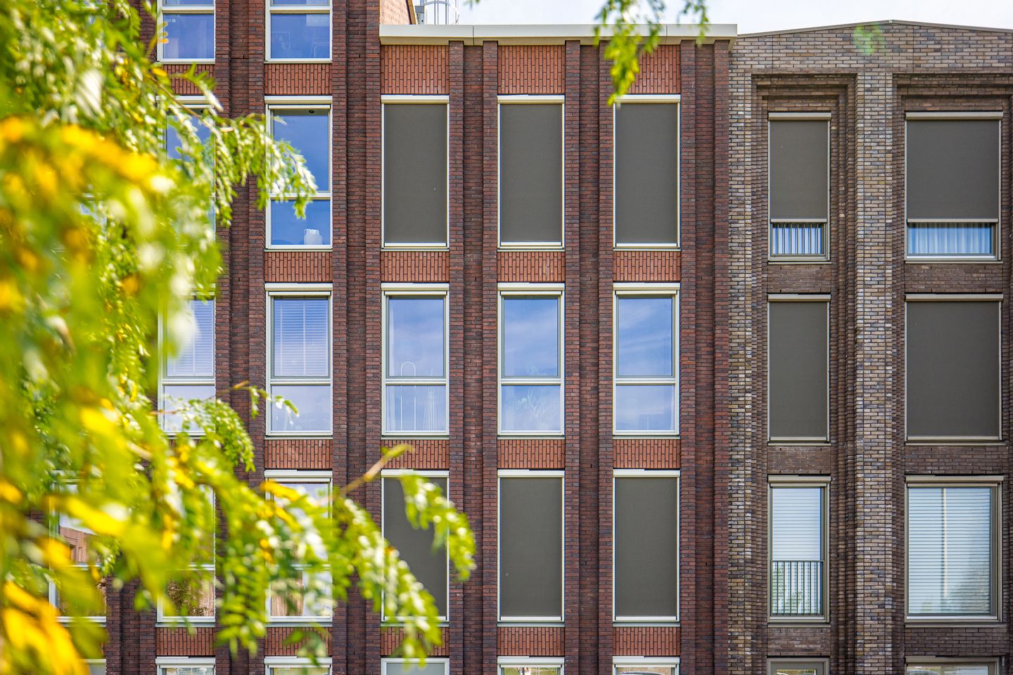 Foto 34 van Eerste Muntmeesterslaan 89