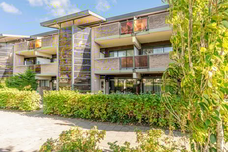 Lavendelplantsoen thumbnail