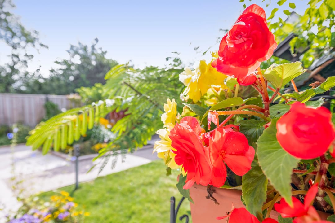 Photo 22 of Vuurdoornlaan 42