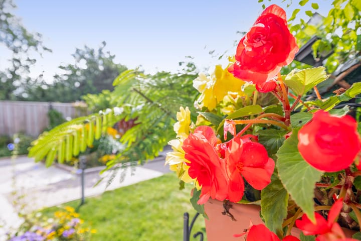 Foto 22 van Vuurdoornlaan 42