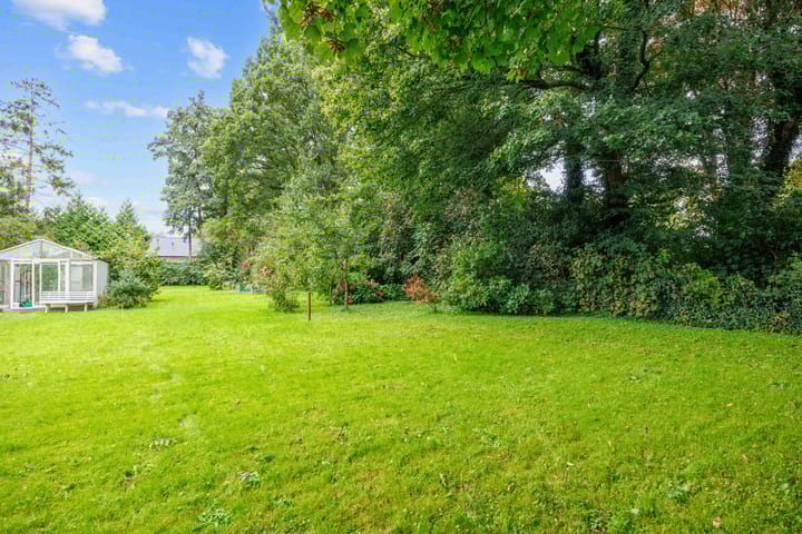 Foto 3 van Albatrosstraat B 48