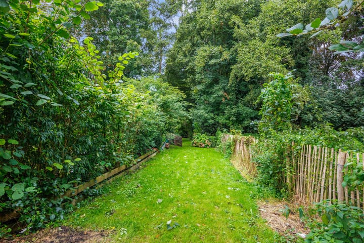 Foto 47 van Albatrosstraat B 48