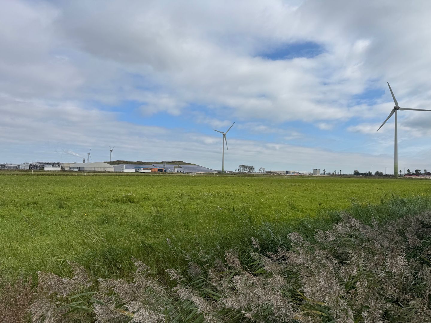 View photo 4 of De Droogmakerij 75-h
