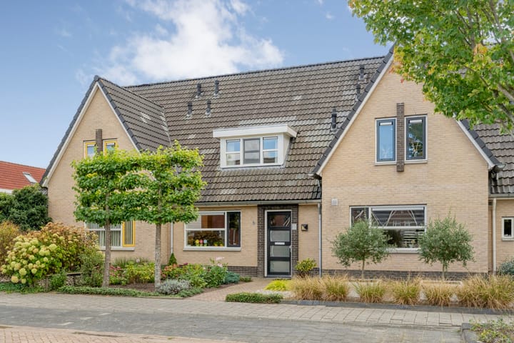 Pieter de Hoochstraat 84