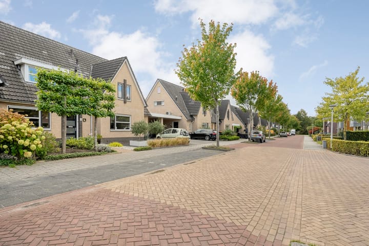 Foto 6 van Pieter de Hoochstraat 84