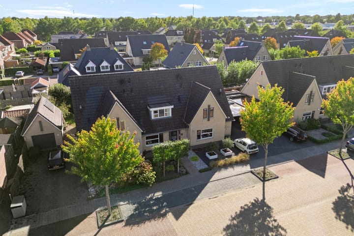 Foto 9 van Pieter de Hoochstraat 84