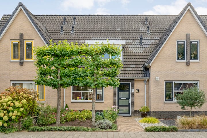 Foto 10 van Pieter de Hoochstraat 84