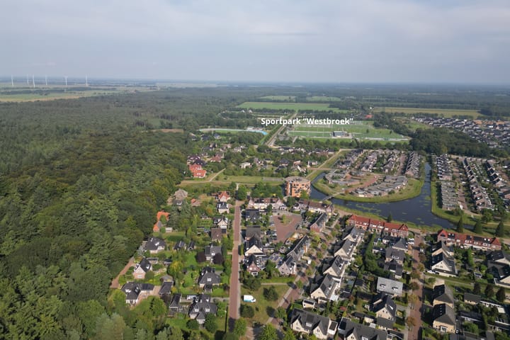 Foto 40 van Pieter de Hoochstraat 84