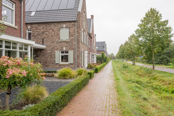 Foto 5 van Bosbes 7