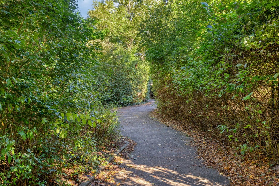 Foto 32 van Beverhof 136