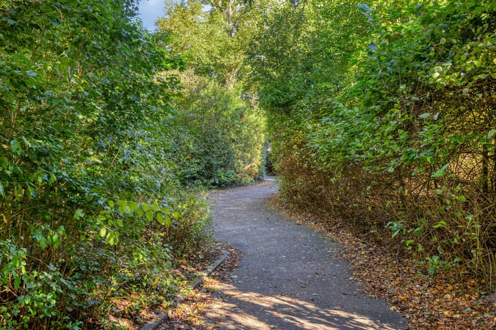 Photo 32 of Beverhof 136