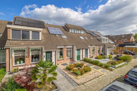 undefined main image