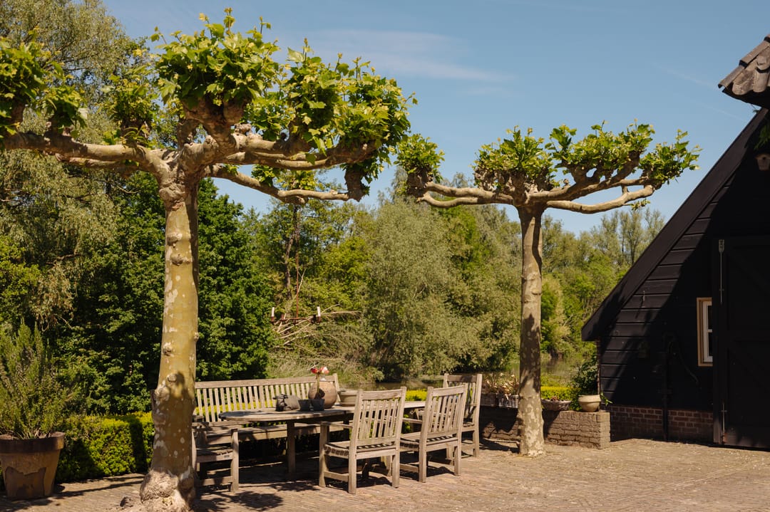 Foto 56 van Lingedijk 30