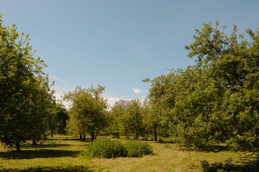 Foto 61 van Lingedijk 30