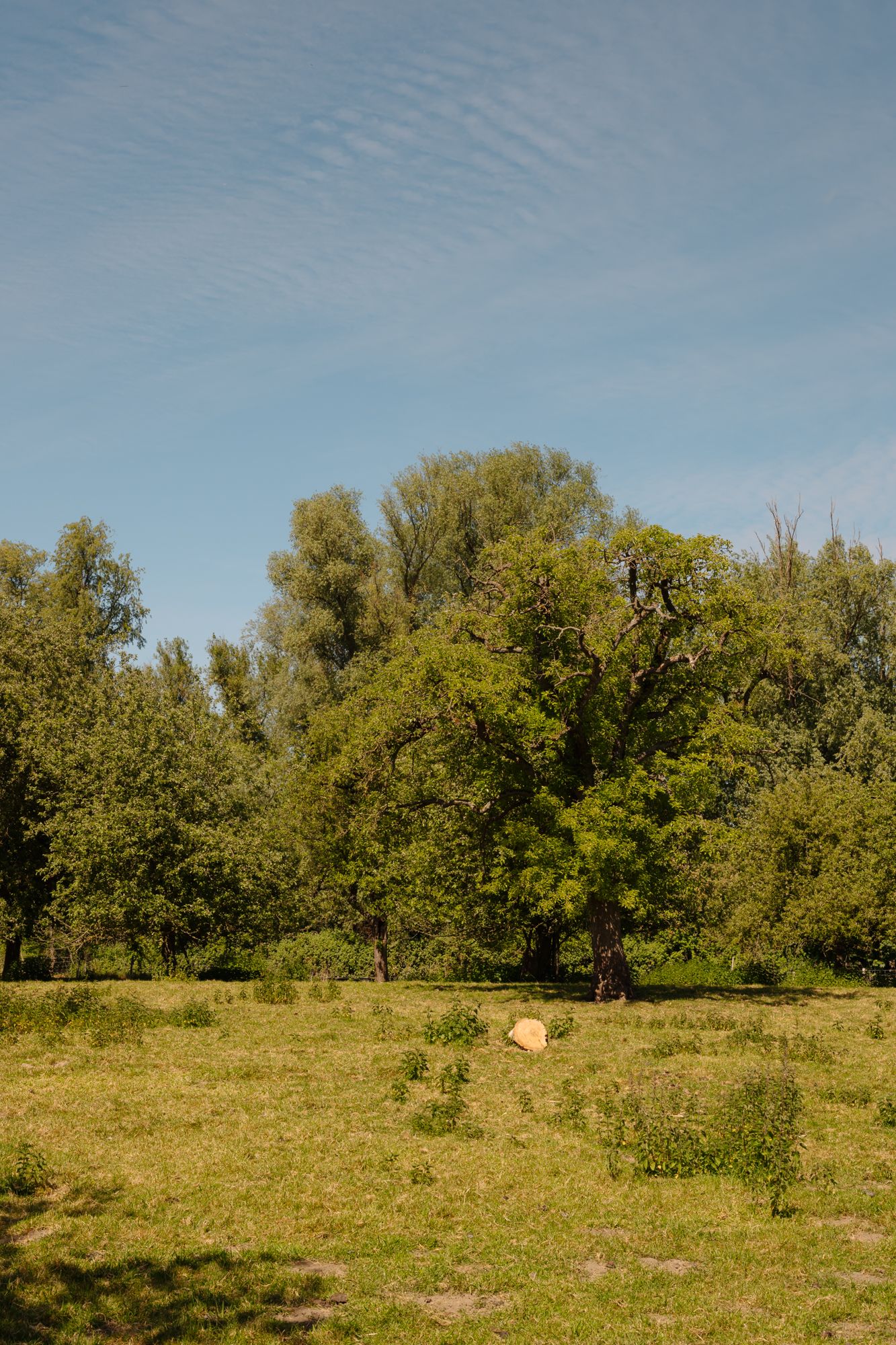 Foto 63 van Lingedijk 30