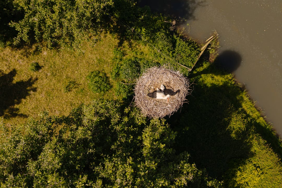 Foto 91 van Lingedijk 30