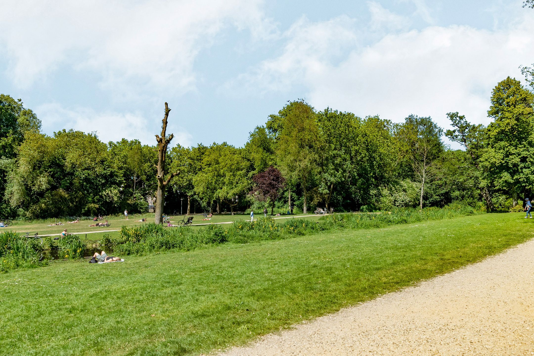 Foto 57 van Koninginneweg 141-2