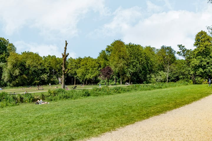 Photo 57 of Koninginneweg 141-2