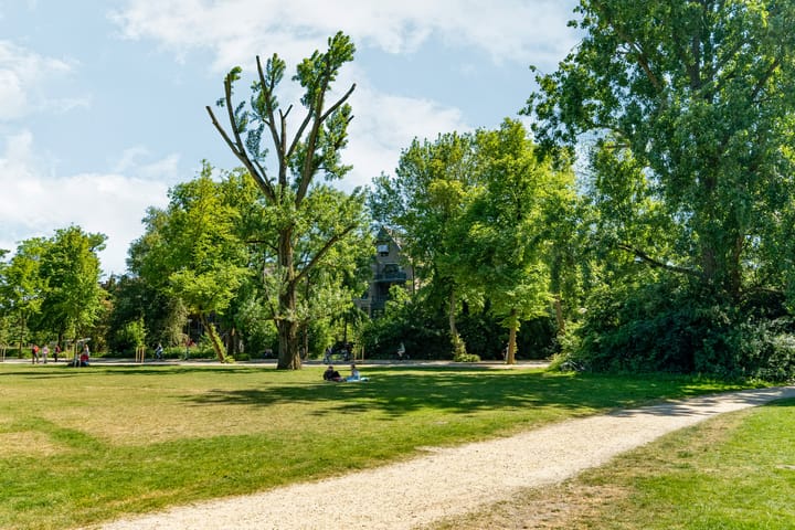 Photo 59 of Koninginneweg 141-2