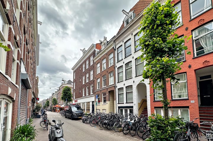 Foto 36 van Govert Flinckstraat 174-C