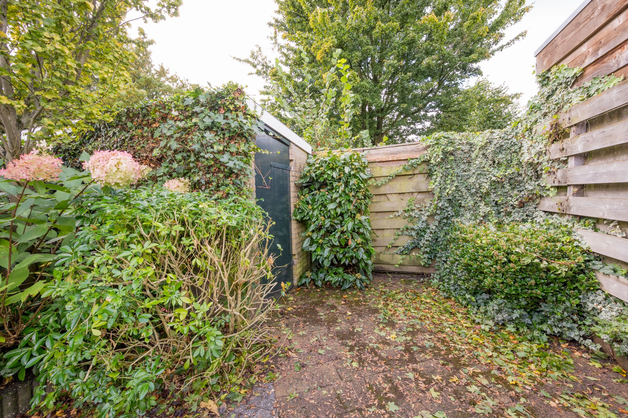 Photo 9 of Brucknerlaantje 109