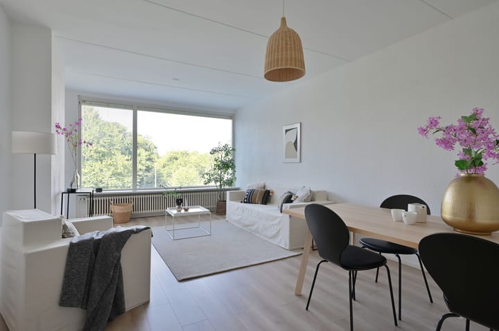 Foto 3 van Sweelincklaan 27