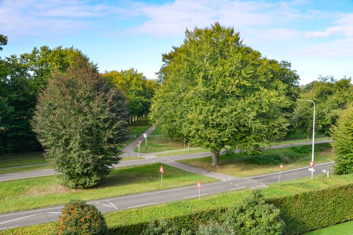 Foto 6 van Sweelincklaan 27