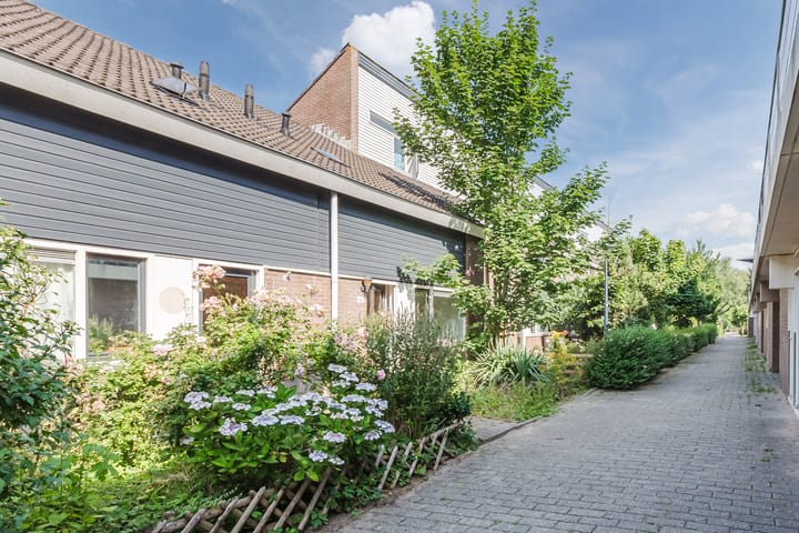 Foto 6 van Boogschutter 160