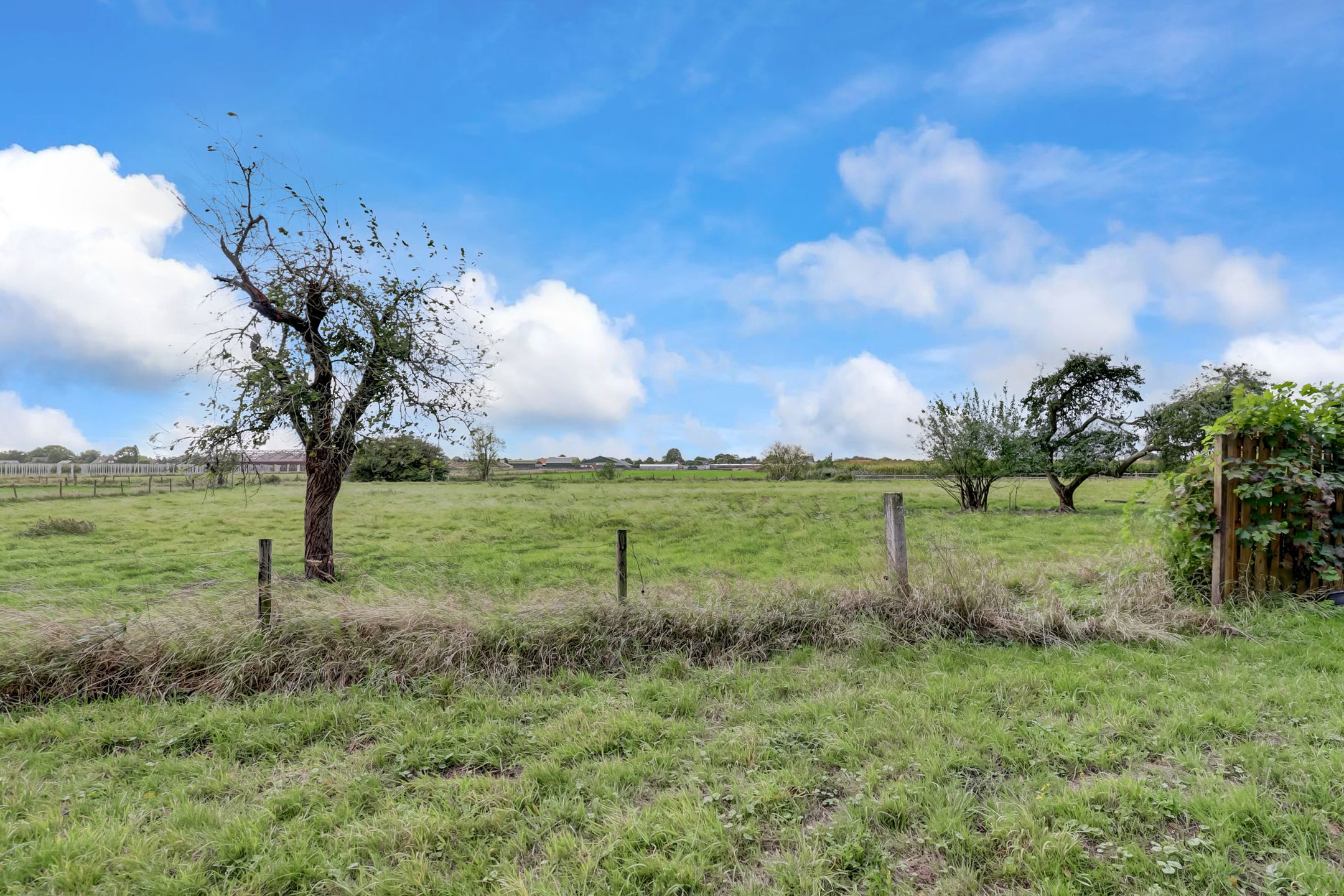 Foto 36 van Hogeveld 3