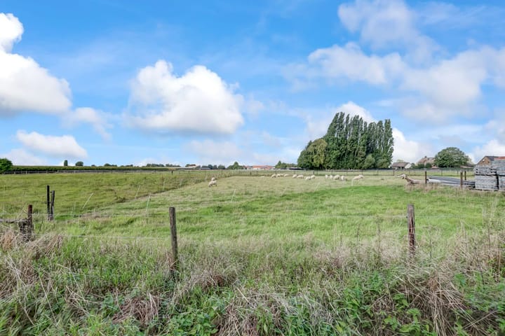 Foto 40 van Hogeveld 3