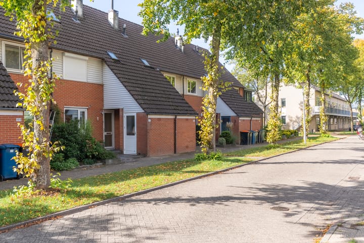 Foto 2 van Ploegveld 197