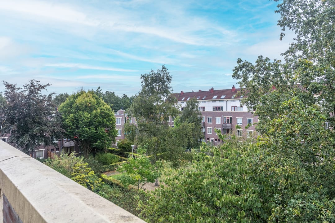 Foto 7 van Vianenstraat 116