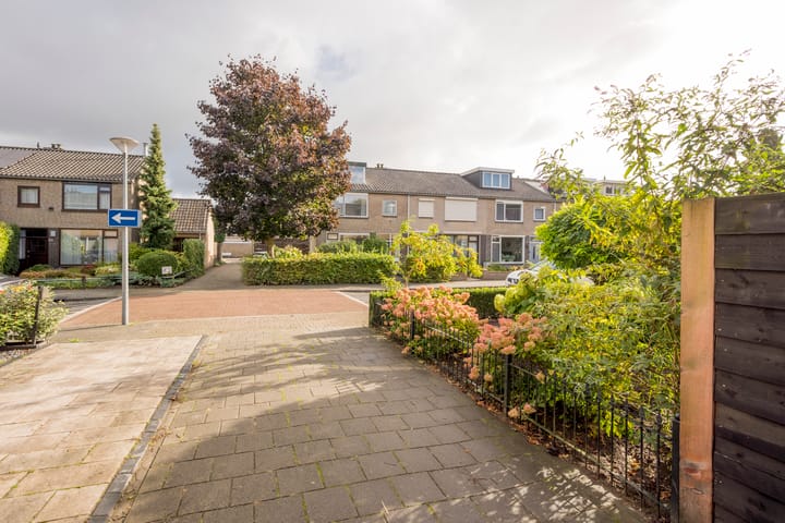 Foto 12 van Esdoornlaan 21