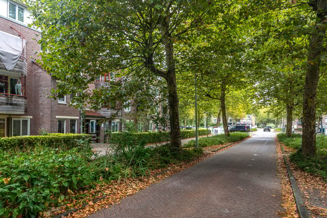 Foto 16 van Vianenstraat 116