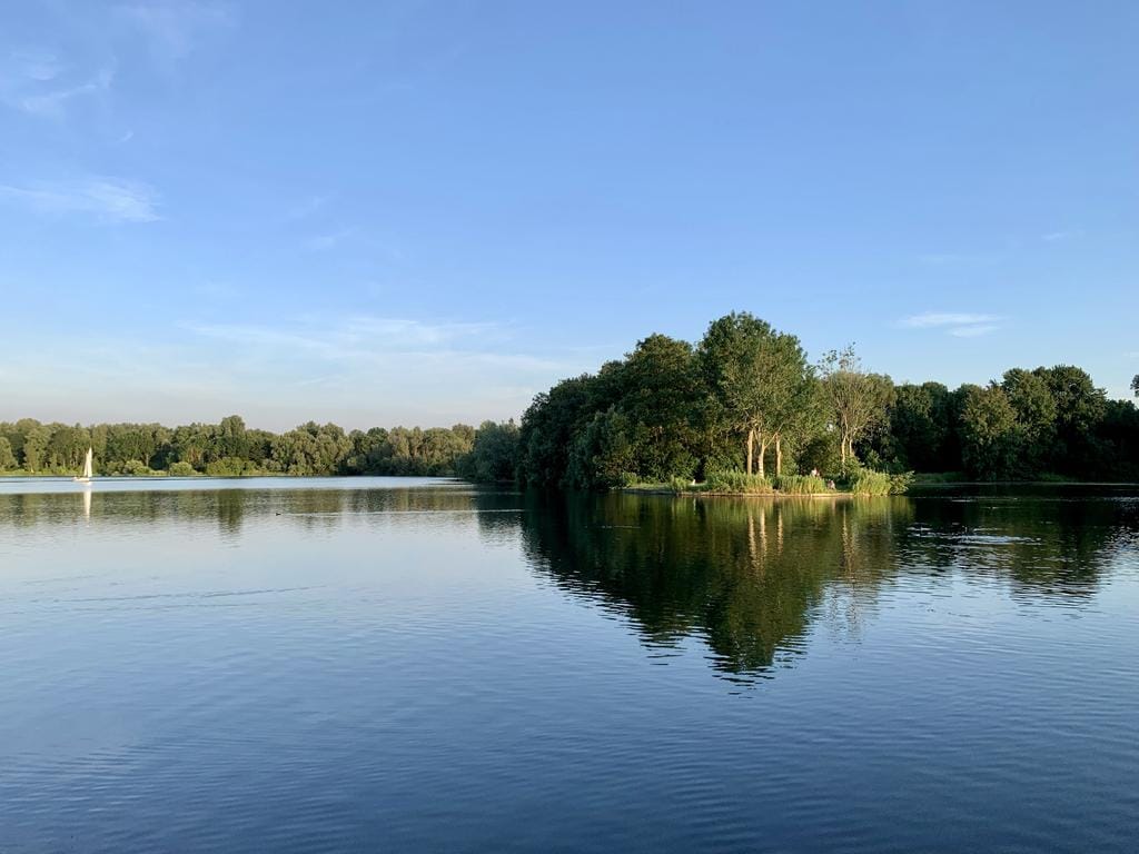 Foto 19 van Vianenstraat 116