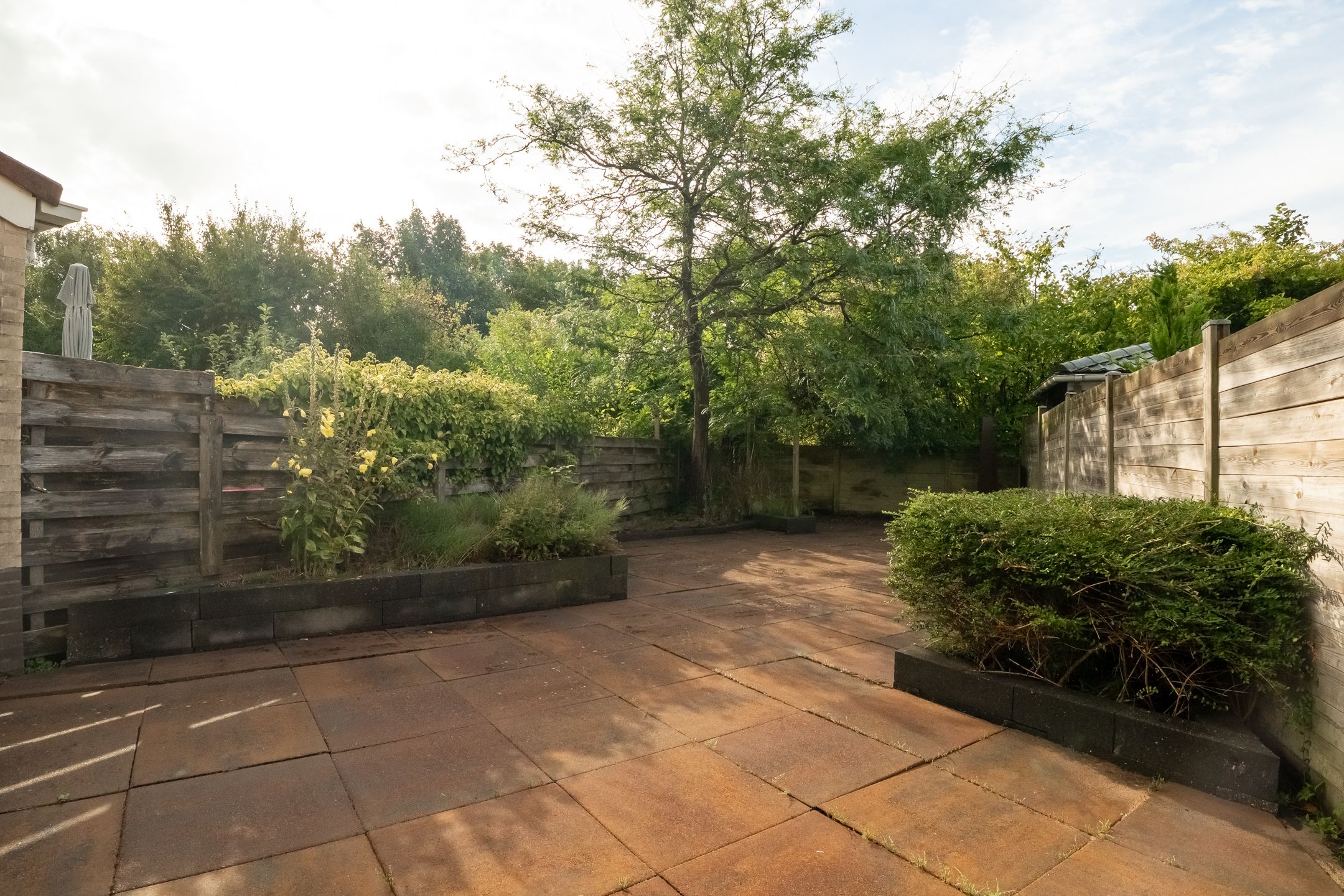 Foto 18 van Saffier 2