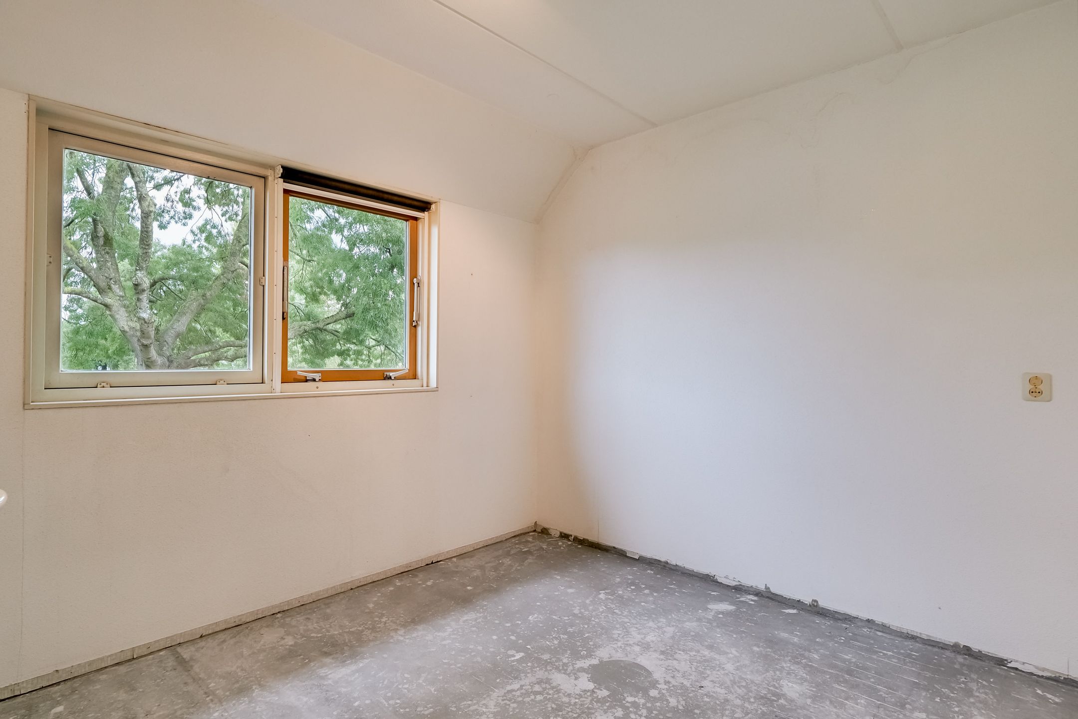 Foto 24 van Saffier 2