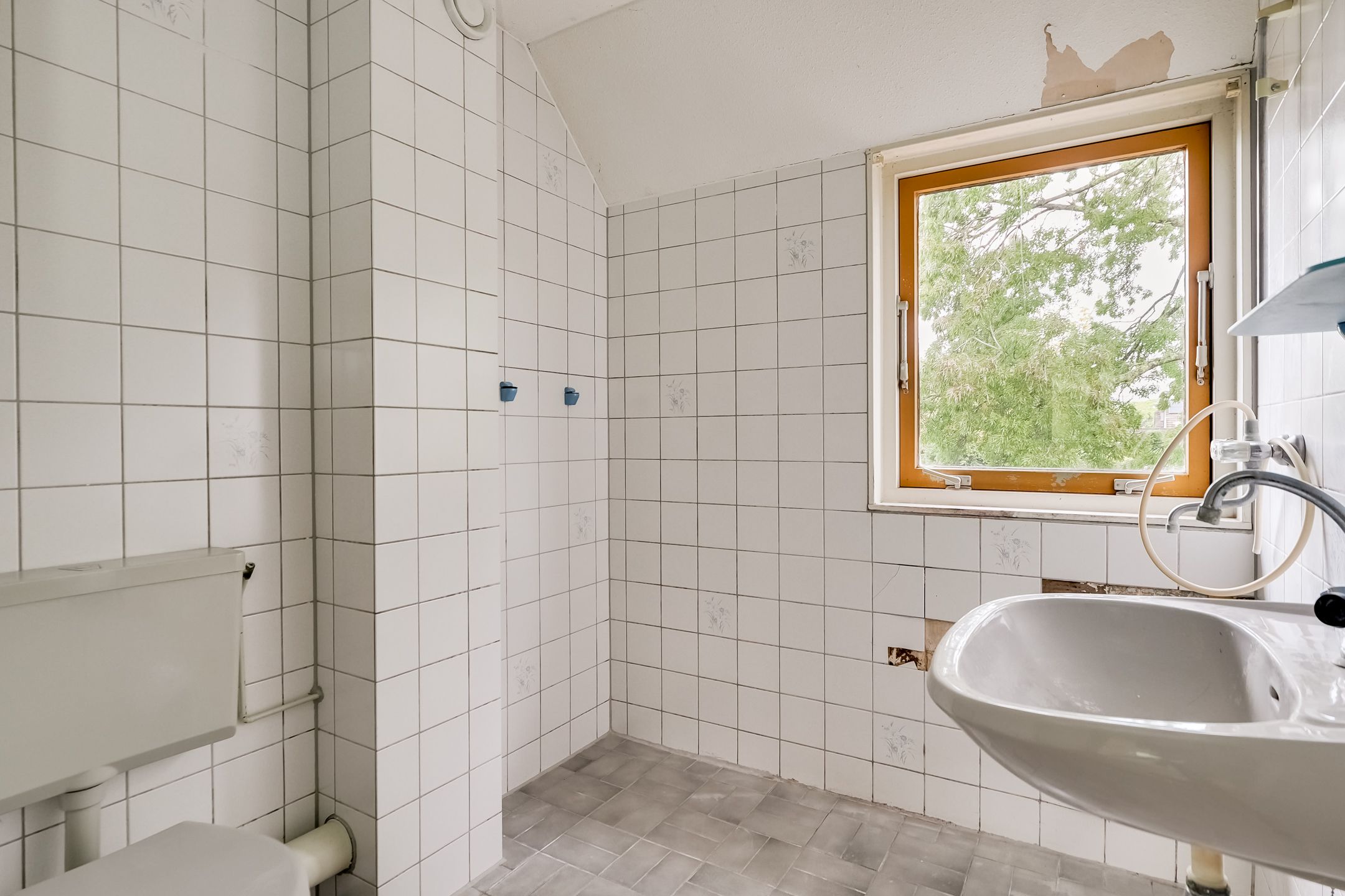 Foto 27 van Saffier 2