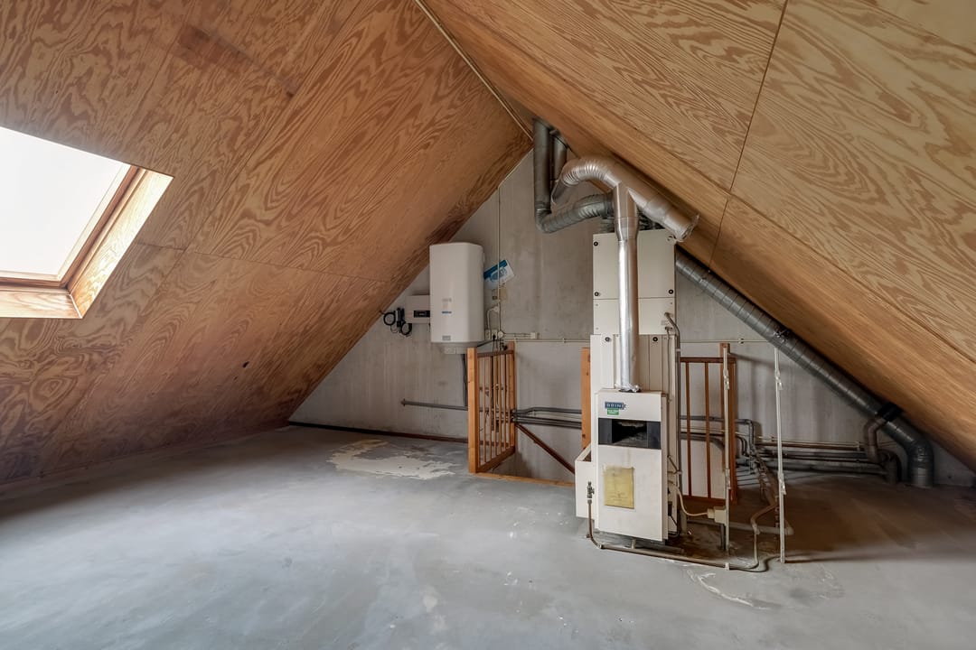 Foto 31 van Saffier 2