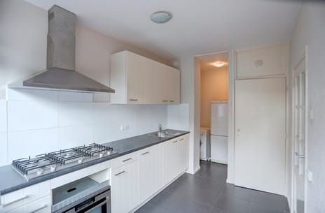 Meijhorst 5413 tertiary image