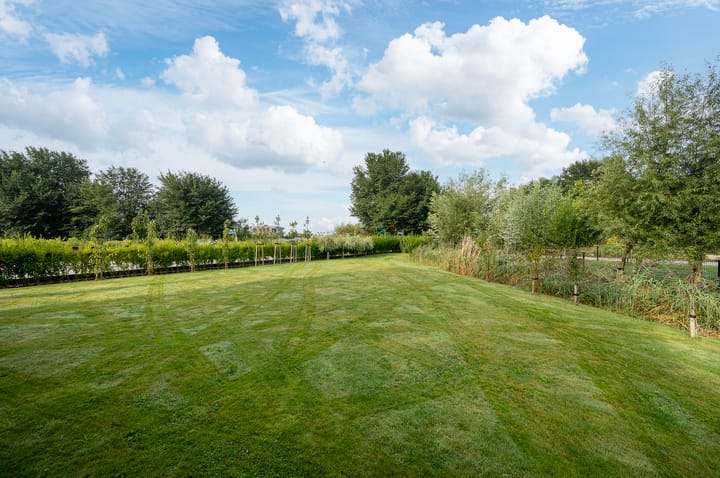 Photo 22 of Coretta Scott Kingweg 7