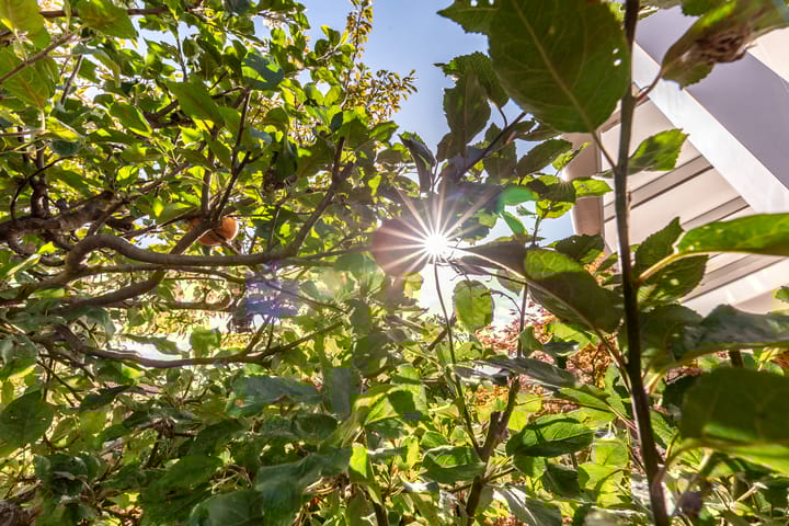 Foto 32 van Gondel 21 30