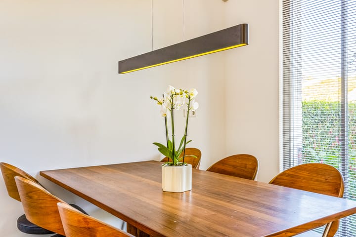 Foto 15 van Bart van der Lecklaan 11