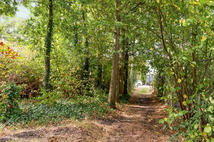 Foto 74 van Ruurloseweg 49