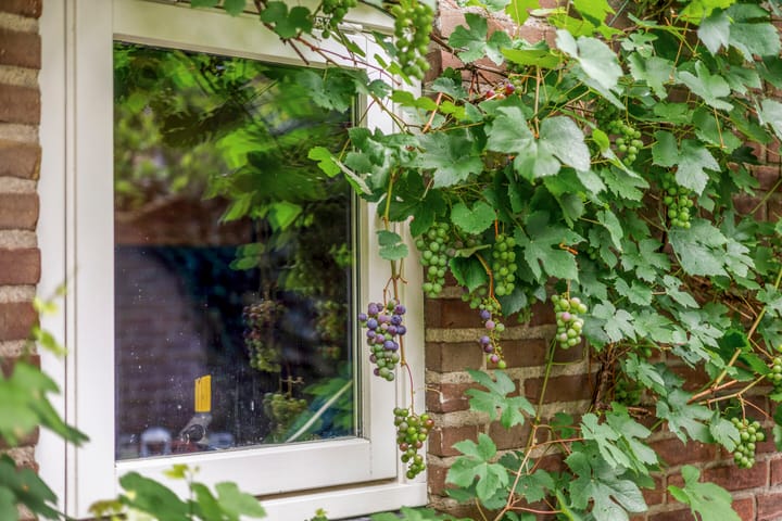 Photo 30 of Jan Hezemansstraat 12