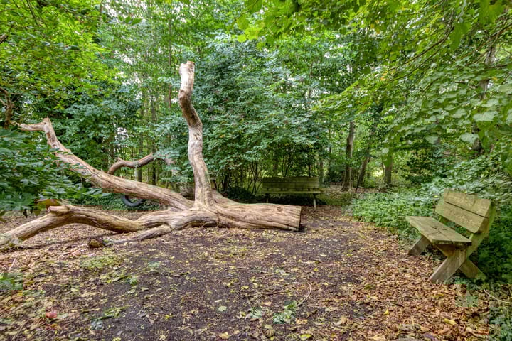 Foto 60 van 't Pad 13