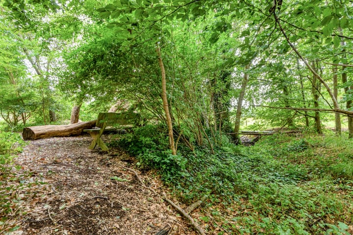 Foto 61 van 't Pad 13