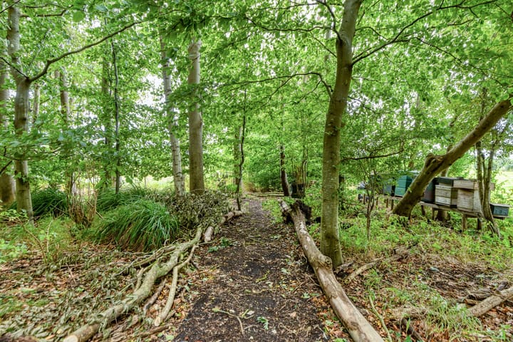 Foto 62 van 't Pad 13