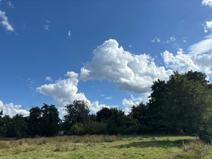 Foto 64 van 't Pad 13